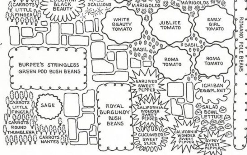 Garden Plan Layouts For a Small Backyard